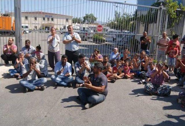 Romanlardan, Çiçek Sattırmayan Zabıtaya Protesto