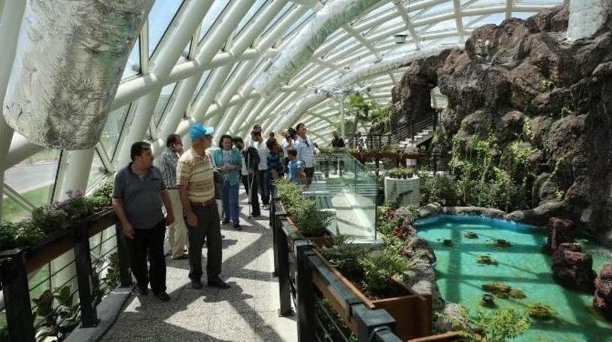 Tropikal Kelebek Bah&ccedil;esi Bayramın 3. G&uuml;n&uuml; A&ccedil;ık Olacak