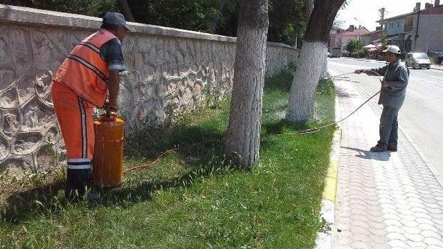 Mezarlık Bayram Ziyaretleri İçin Hazır Hale Getirildi