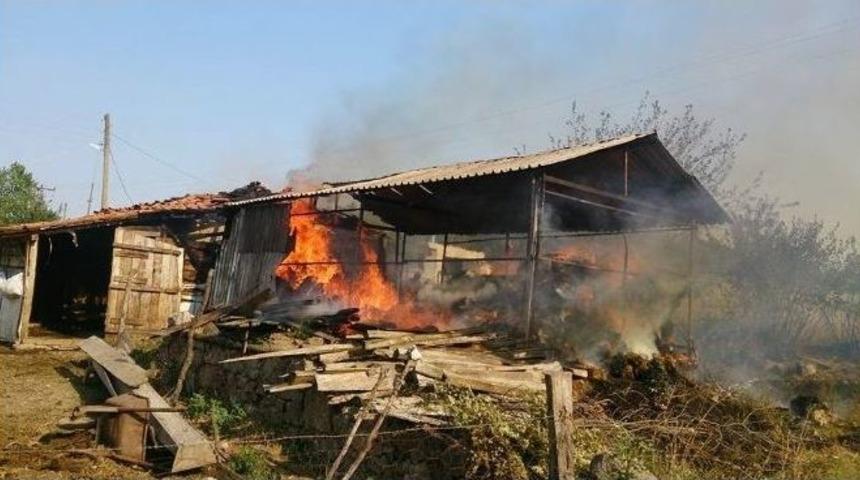 Yangını S&ouml;nd&uuml;rmek İsterken Yandılar