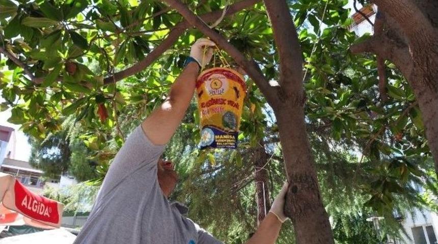 B&uuml;y&uuml;kşehir Belediyesinden Karasinekle M&uuml;cadele