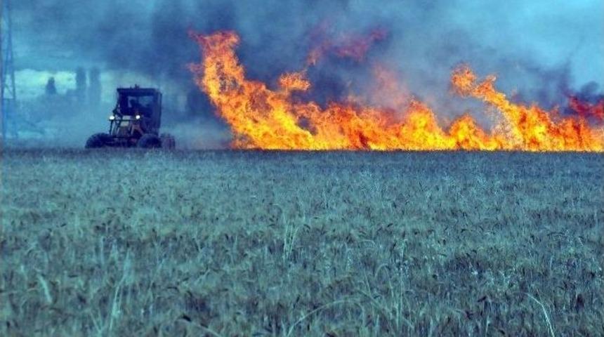 Buğday Tarlalarında Yangın