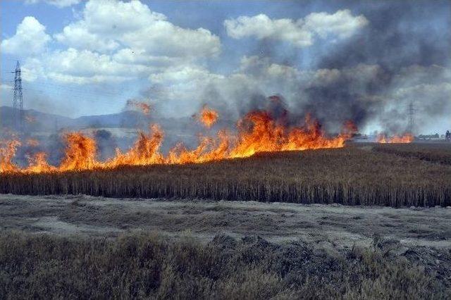 Buğday Tarlalarında Yangın