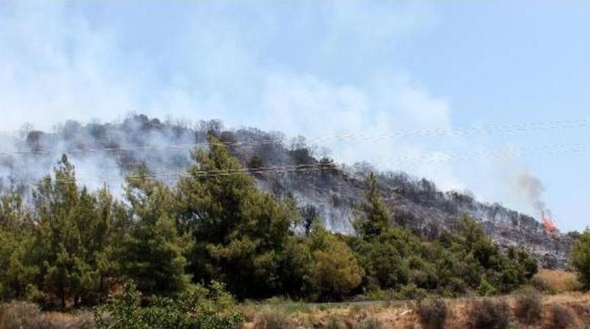 Makilik Yangını Korkuttu