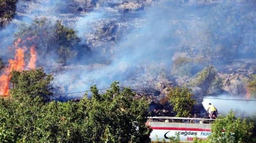 Atılan Sigara Izmariti 14 Hektar Alanı K&uuml;le &Ccedil;evirdi