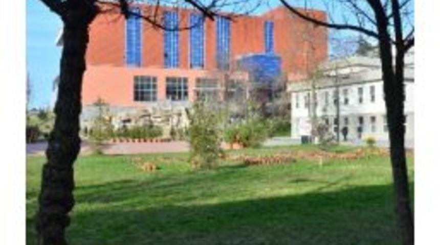 Gen&ccedil; Ressam Adaylarının Tercihi Be&uuml;