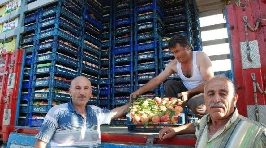 Kemalpaşa K&ouml;y&uuml;nden Yurt İ&ccedil;ine Şeftali Sevkıyatı