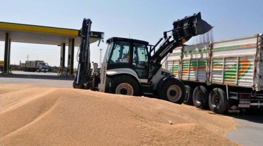 Derik'ten Rojava'ya 200 Ton Buğday Gönderildi