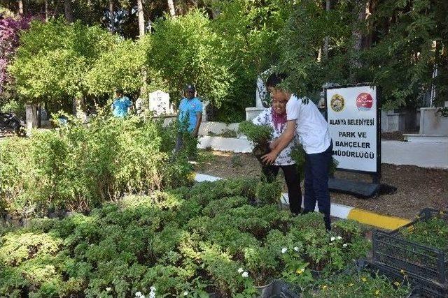 Başkan Yücel, Şehit Mezarlarını Ziyaret Etti