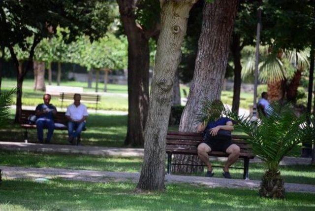 Adana'da Hava Sıcaklığı 43 Dereceye Ulaştı