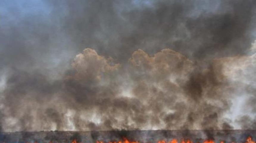 Adıyaman&rsquo;Da Korkutan Anız Yangını