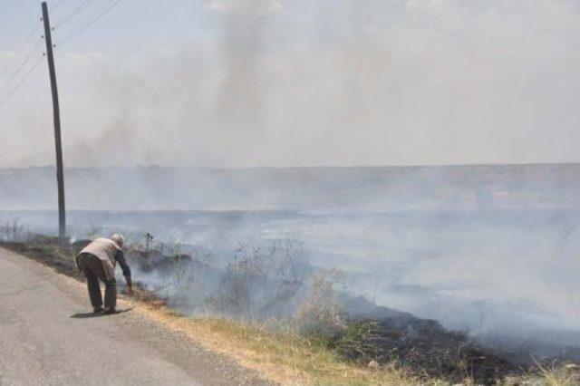 Adıyaman’Da Korkutan Anız Yangını