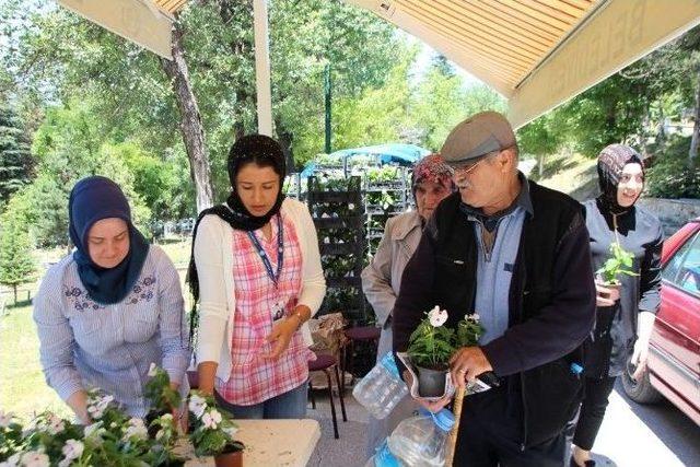 Kabir Ziyaretine Gelenlere 10 Bini Aşkın Çiçek