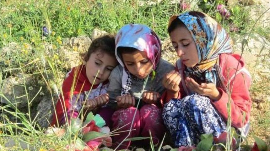 Babasının Mezarını Ziyaret Eden Madenci Kızı: Keşke Toprağın Altında Ben Kalsaydım