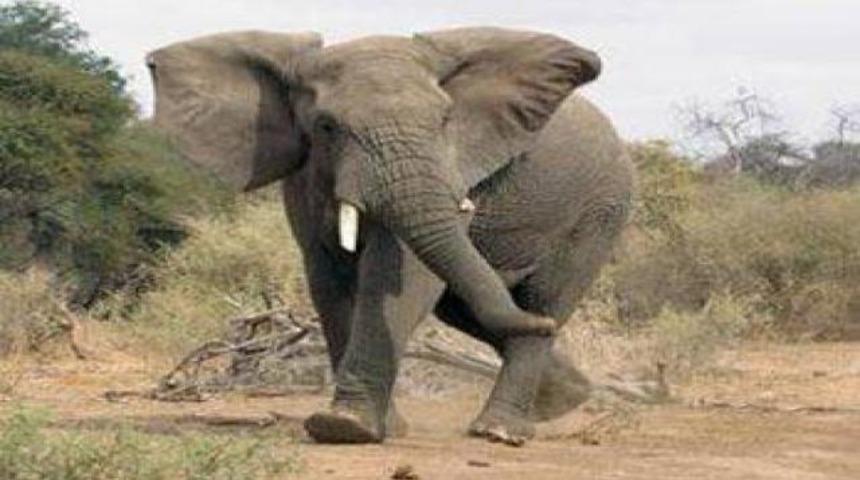 Tarihteki en ilgin&ccedil; deneyler