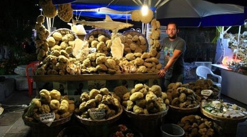 Bodrum S&uuml;ngerine Yoğun İlgi