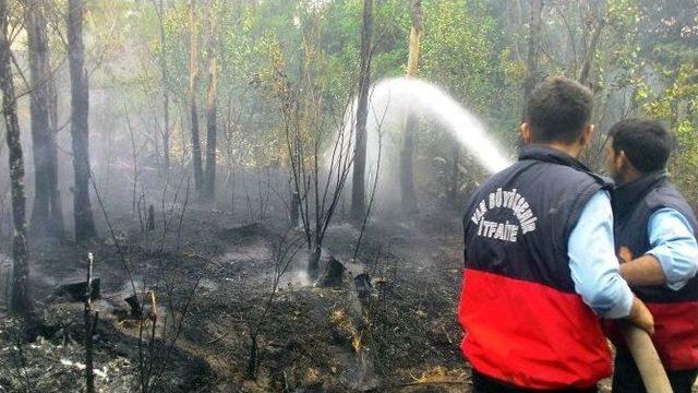 Yangın, Mezarlık Ve Meyve Bahçelerine Zarar Verdi