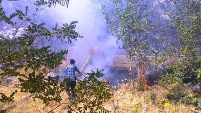 Yangın, Mezarlık Ve Meyve Bahçelerine Zarar Verdi