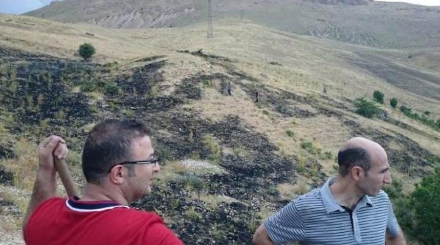 Adilcevaz'da Buğday Tarlası Ve &Uuml;z&uuml;m Bağı Yandı