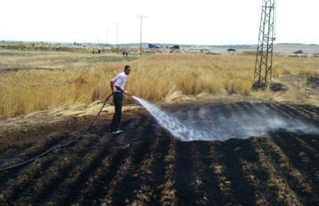 Adilcevaz'da Buğday Tarlası Ve Üzüm Bağı Yandı