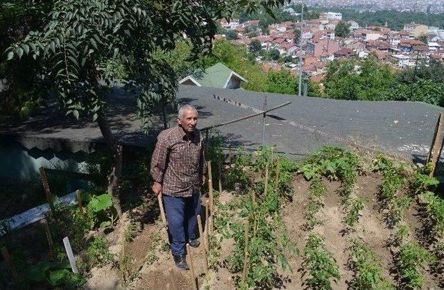 (özel Haber) Hastaneyi Hobi Bahçesine Çevirdi