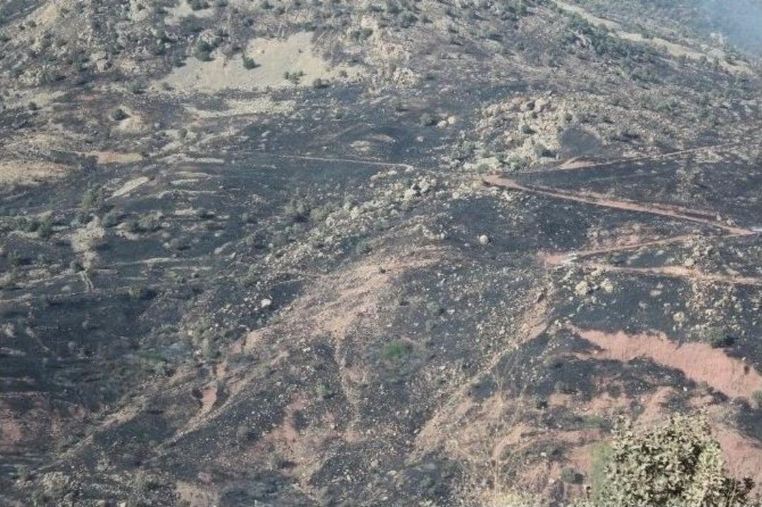 Cudi Dağında &Ouml;rt&uuml; Yangını S&ouml;nd&uuml;rme &Ccedil;alışmaları Devam Ediyor