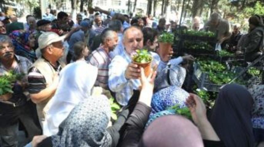 Orhangazi İl&ccedil;e Mezarlığı &Ccedil;i&ccedil;ek Bah&ccedil;esine D&ouml;nd&uuml;