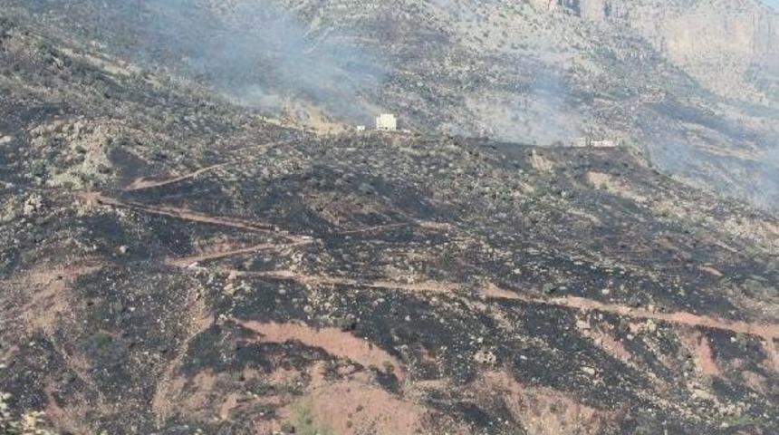 Cudi Dağı'ndaki Yangın Devam Ediyor