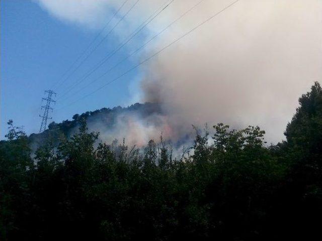 Isparta’da Orman Yangını