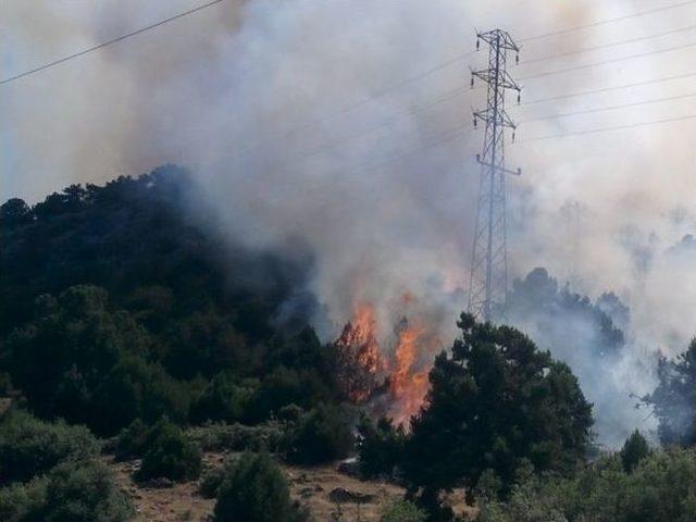 Isparta’da Orman Yangını