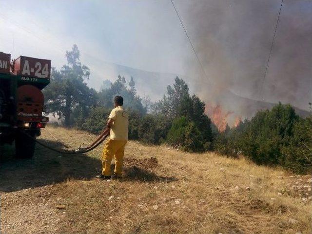 Isparta’da Orman Yangını