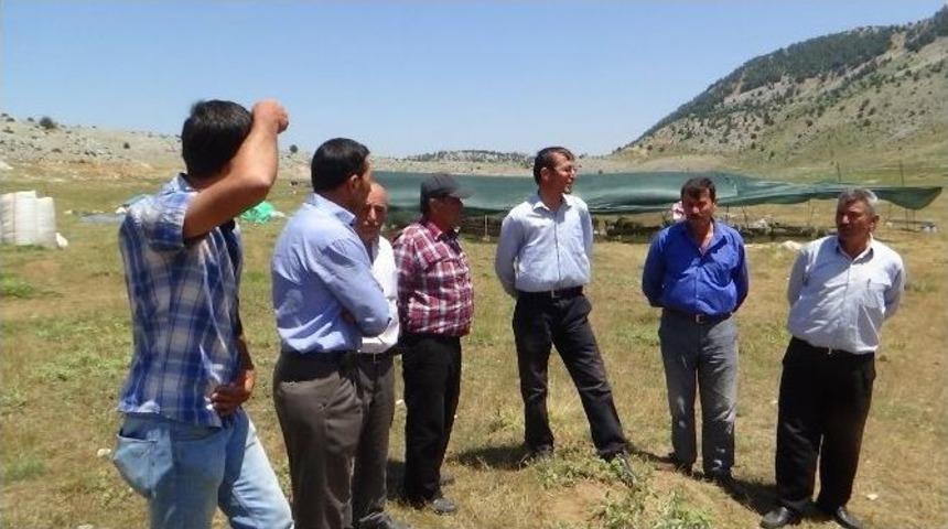 Kulovası&rsquo;nda Yetiştiriciler Huzursuz