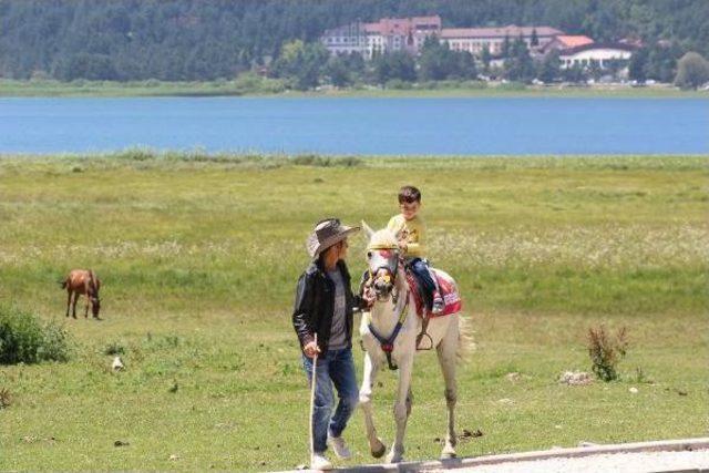 Abant Tabiat Parkı Önünde 2 Kilometrelik Tatilci Konvoyu