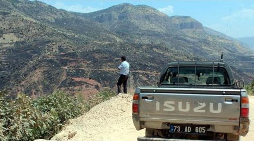 Cudi Dağı'ndaki Yangın Devam Ediyor (2)