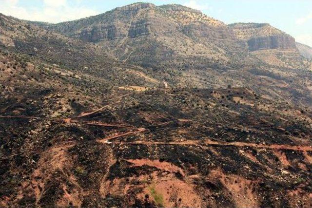 Cudi Dağı'ndaki Yangın Devam Ediyor (2)