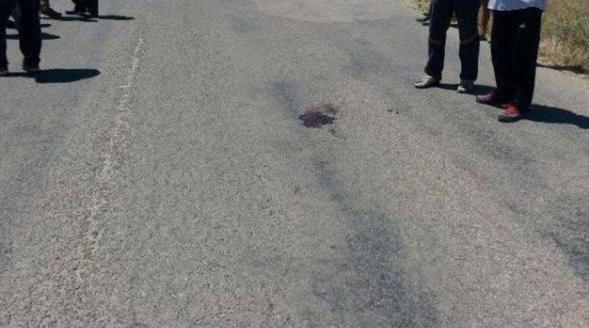 Otomobilin &Ccedil;arptığı Bisikletli &Ouml;ld&uuml;