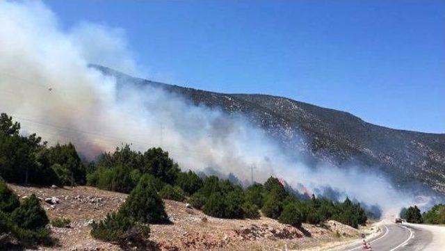 Isparta'da Piknik Ateşi Ormanı Yaktı: 3 Gözaltı