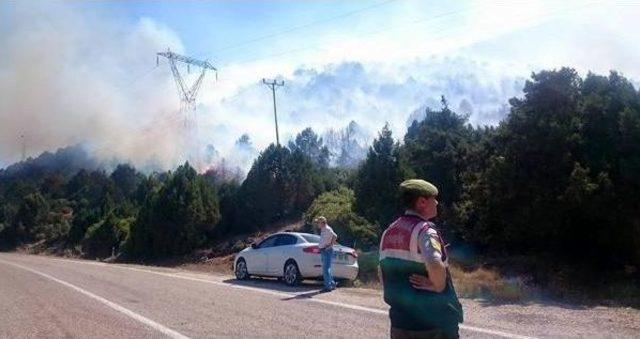 Isparta'da Piknik Ateşi Ormanı Yaktı: 3 Gözaltı