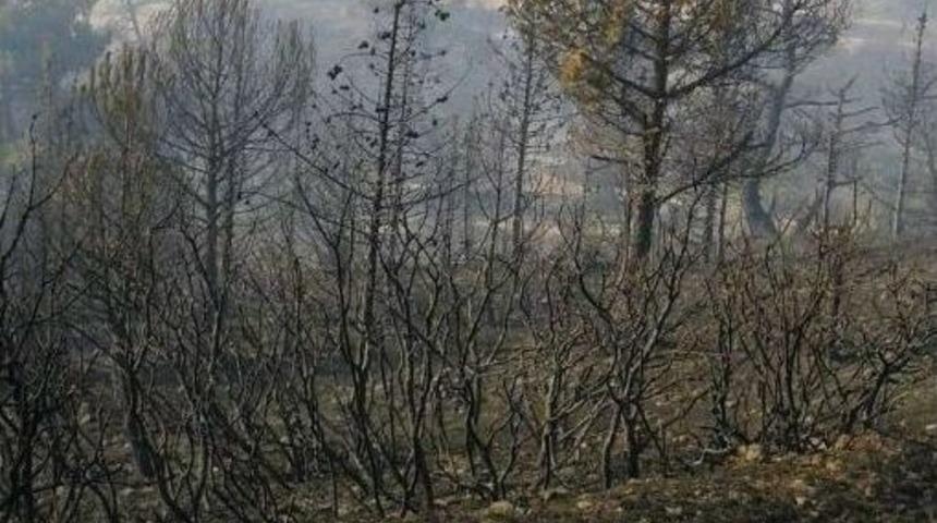 Kırkağa&ccedil;&rsquo;taki Orman Yangını Kontrol Altına Alındı