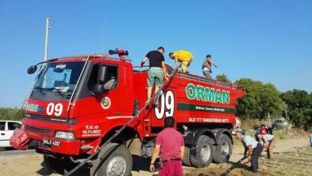 Kırkağaç'ta Orman Yangını (2)