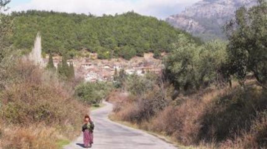 Popular National Park Faces Coal-Ash Cloud Threat