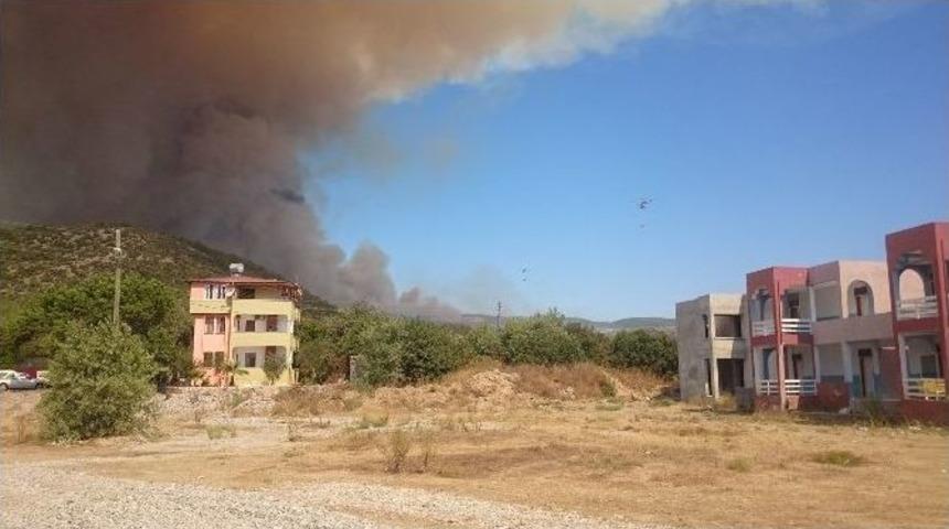 Mersin’de Orman Yangını