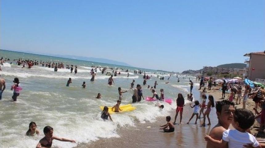 Marmara Denizi&rsquo;nde &rsquo;bayram&rsquo; Yoğunluğu