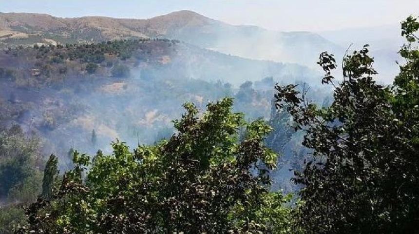 Malatyada Kayısı Bah&ccedil;elerinde Yangın