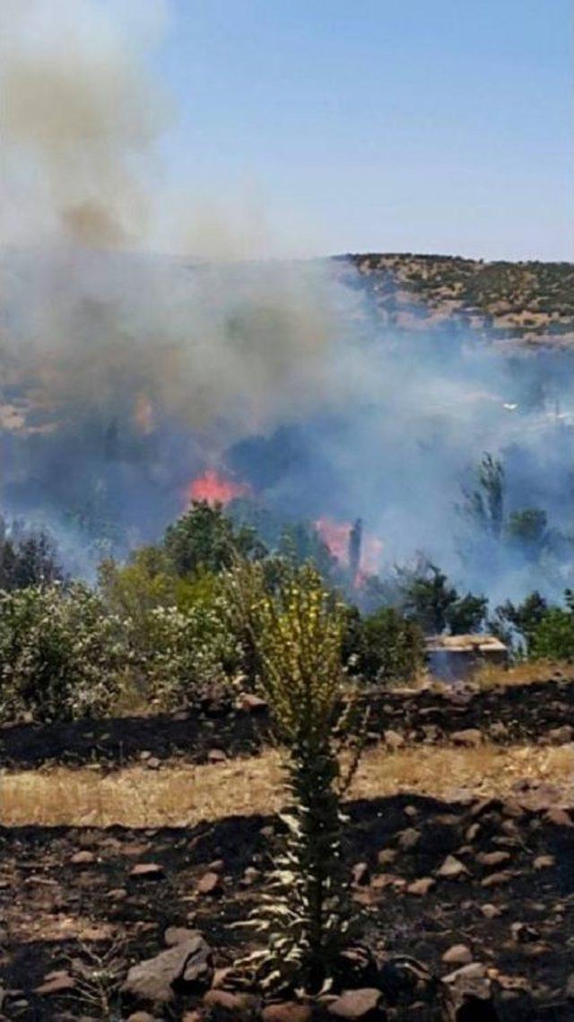 Malatyada Kayısı Bahçelerinde Yangın