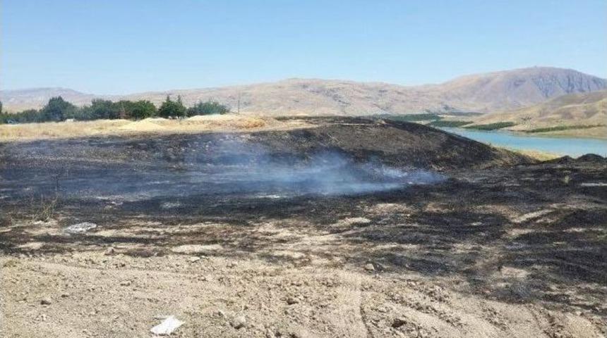 Buğday Tarlası K&uuml;l Oldu