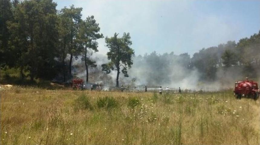 Manavgat&rsquo;ta Orman Yangınları