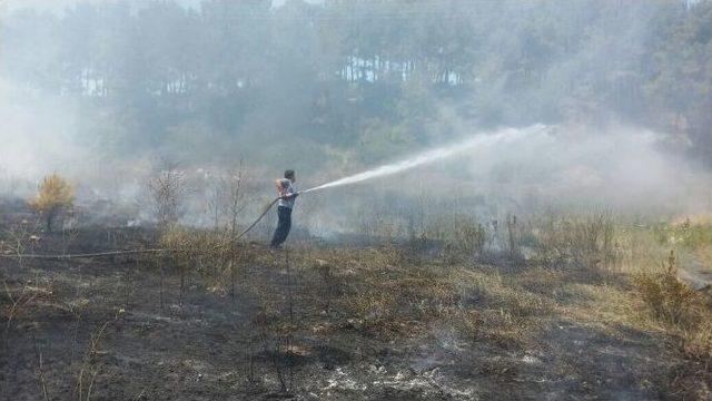 Manavgat’ta Orman Yangınları