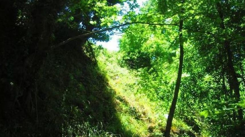 Kask, Hayatını Kurtardı