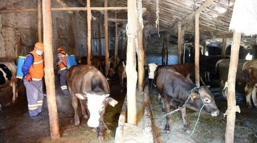 Haşereyle M&uuml;cadele Devam Ediyor